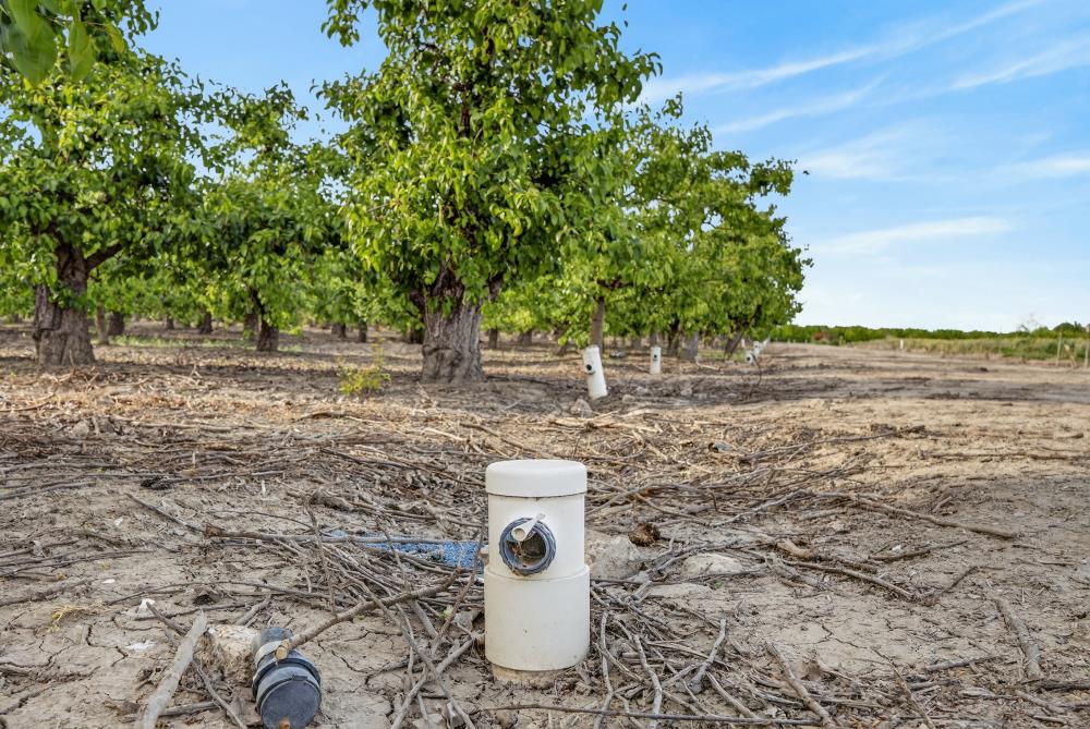 0 Andrus Island Road Isleton, CA 95641 - Photo 28 of 41