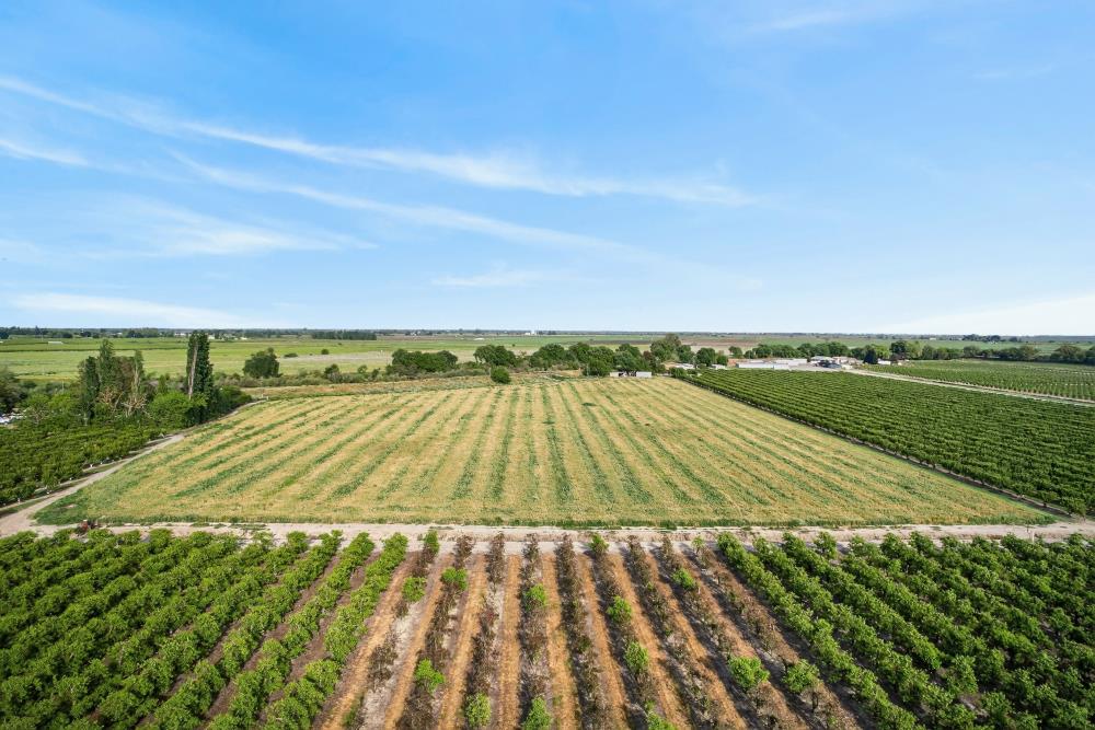 0 Andrus Island Road Isleton, CA 95641 - Photo 30 of 41