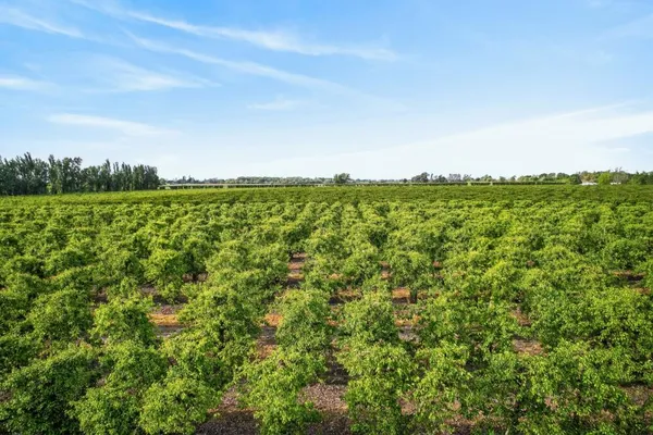 $1,895,000 | 0 Andrus Island Road, Isleton, CA 95641