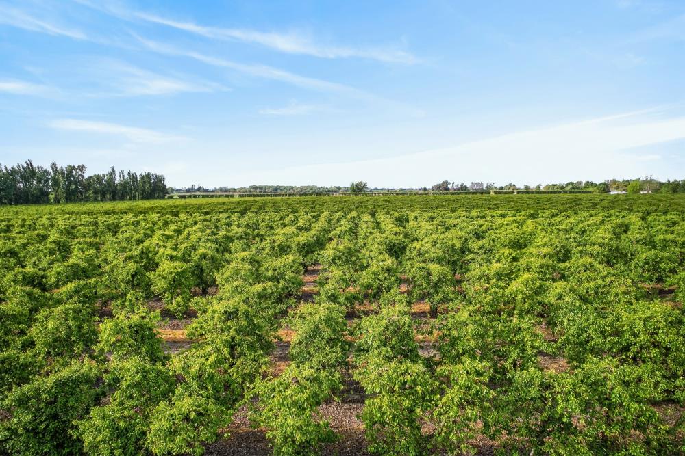 0 Andrus Island Road Isleton, CA 95641 - Photo 31 of 41