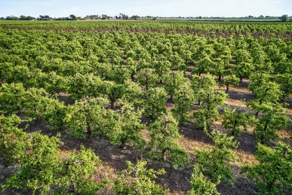 $1,895,000 | 0 Andrus Island Road, Isleton, CA 95641