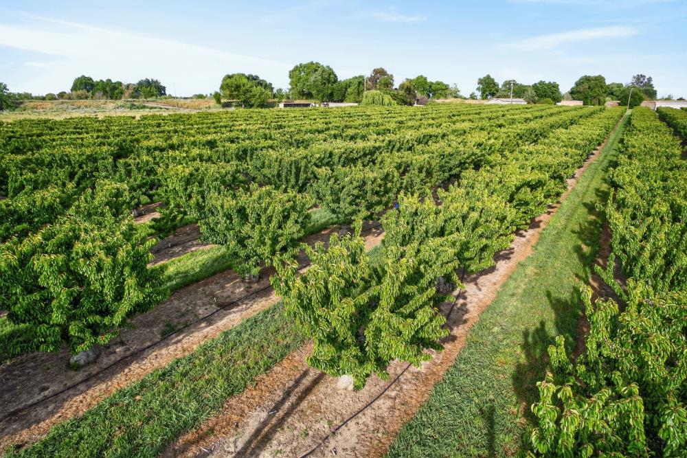 0 Andrus Island Road Isleton, CA 95641 - Photo 34 of 41