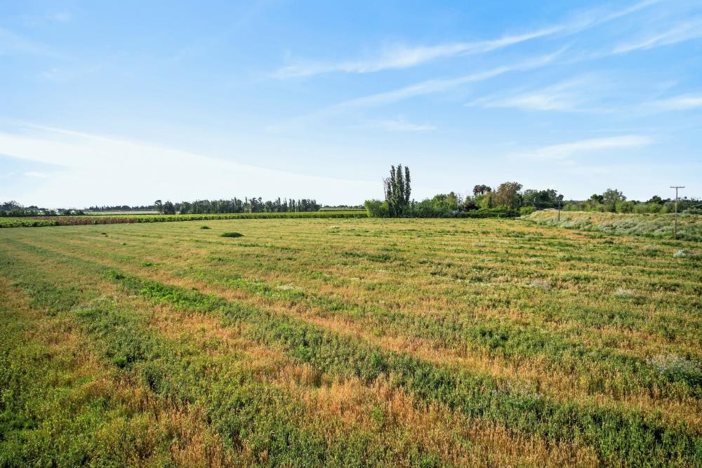 0 Andrus Island Road Isleton, CA 95641 - Photo 37 of 41