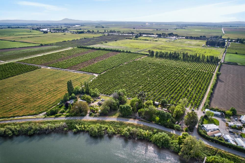 0 Andrus Island Road Isleton, CA 95641 - Photo 6 of 41