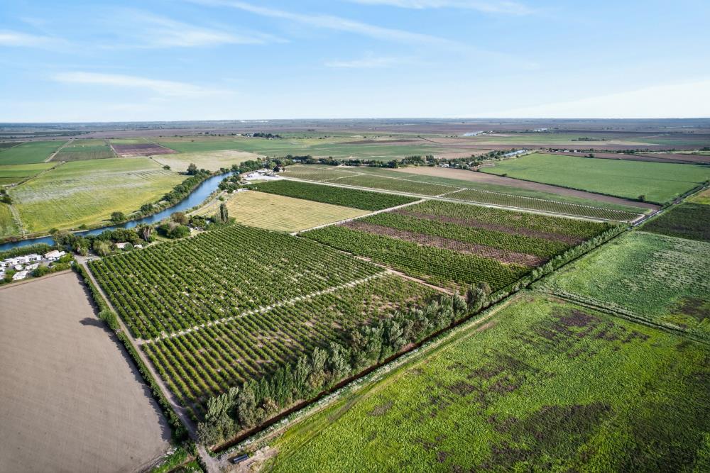 0 Andrus Island Road Isleton, CA 95641 - Photo 8 of 41