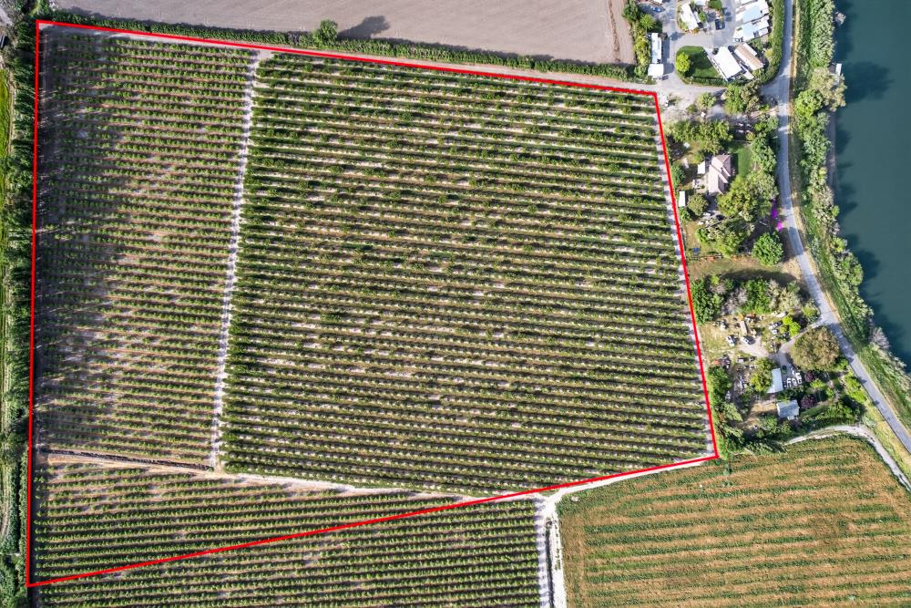 0 Andrus Island Road Isleton, CA 95641 - Photo 9 of 41