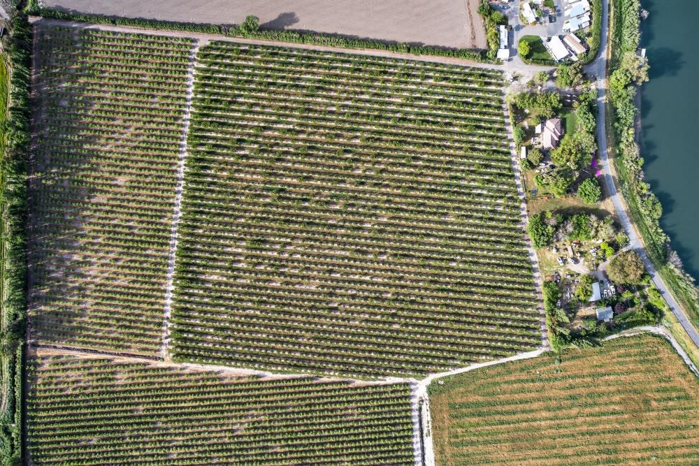 0 Andrus Island Road Isleton, CA 95641 - Photo 10 of 41