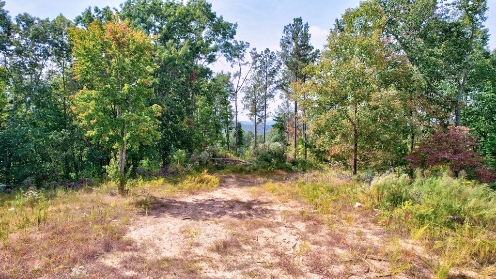20 Oak Hl Road Ellijay, GA 30540 - Photo 5 of 21 Gallery Image 5