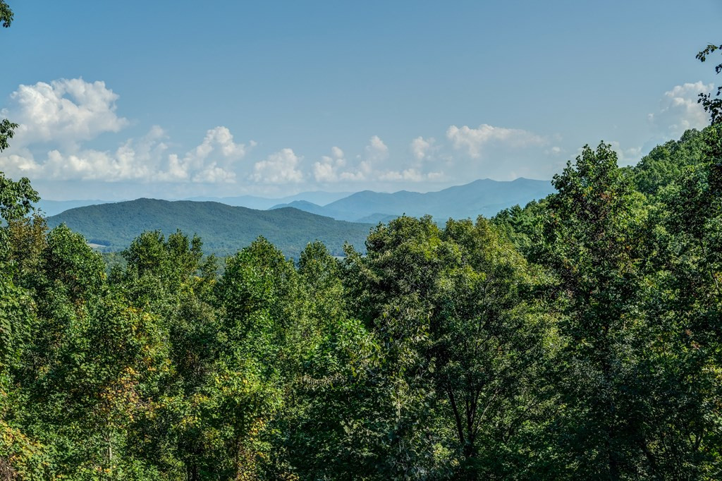 26 Beaver Gap Road Murphy, NC 28906 - Photo 3 of 64