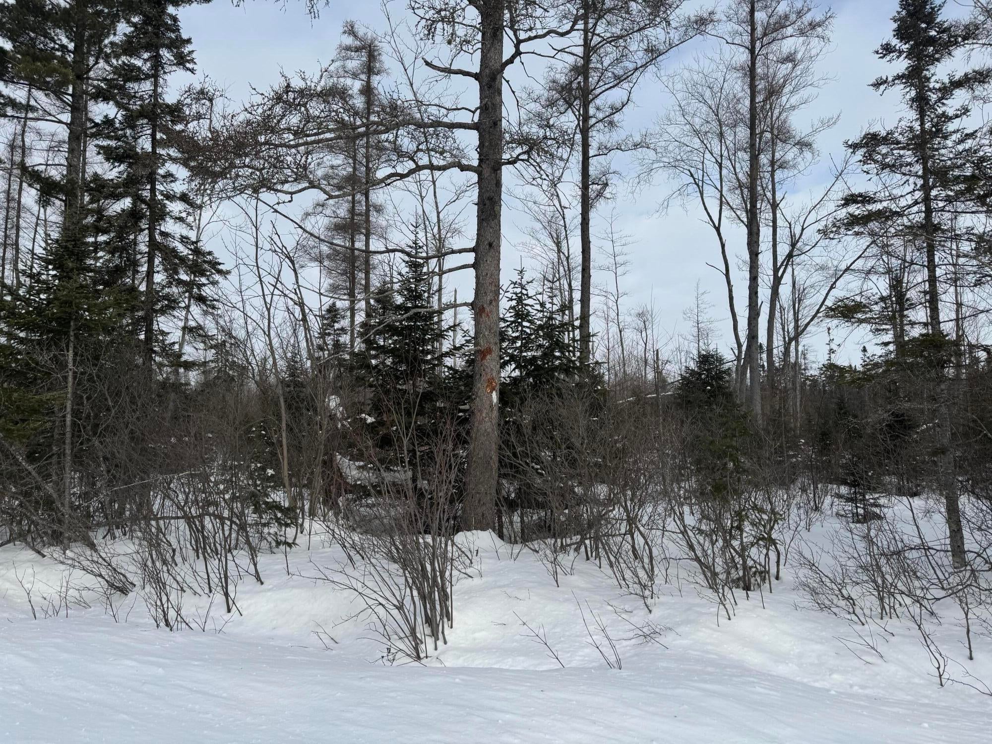 13 West Mile Road Dafter, MI 49724 - Photo 1 of 7 Gallery Image 1