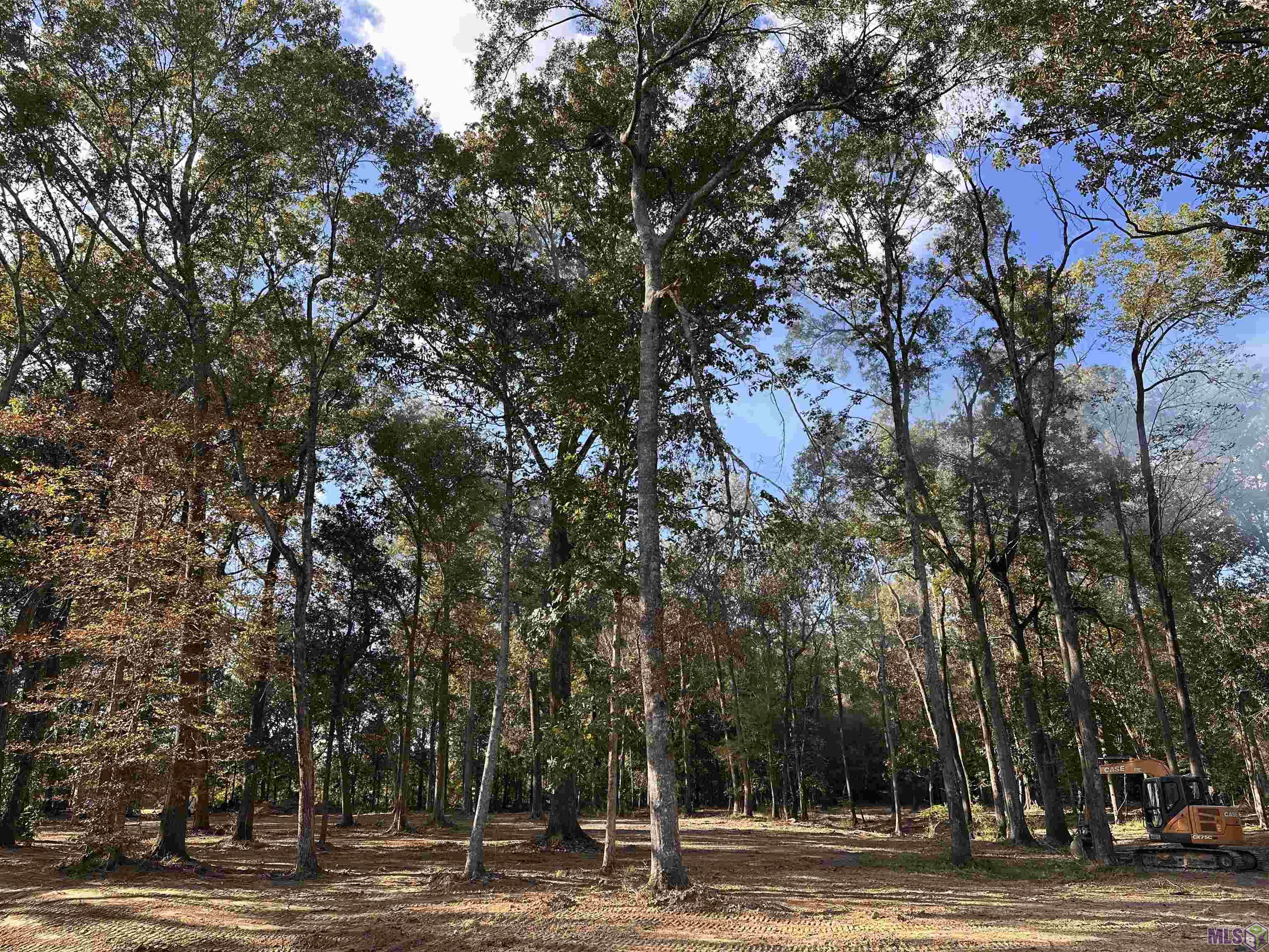 Tbd Lemon Road Slaughter, LA 70777 - Photo 2 of 6