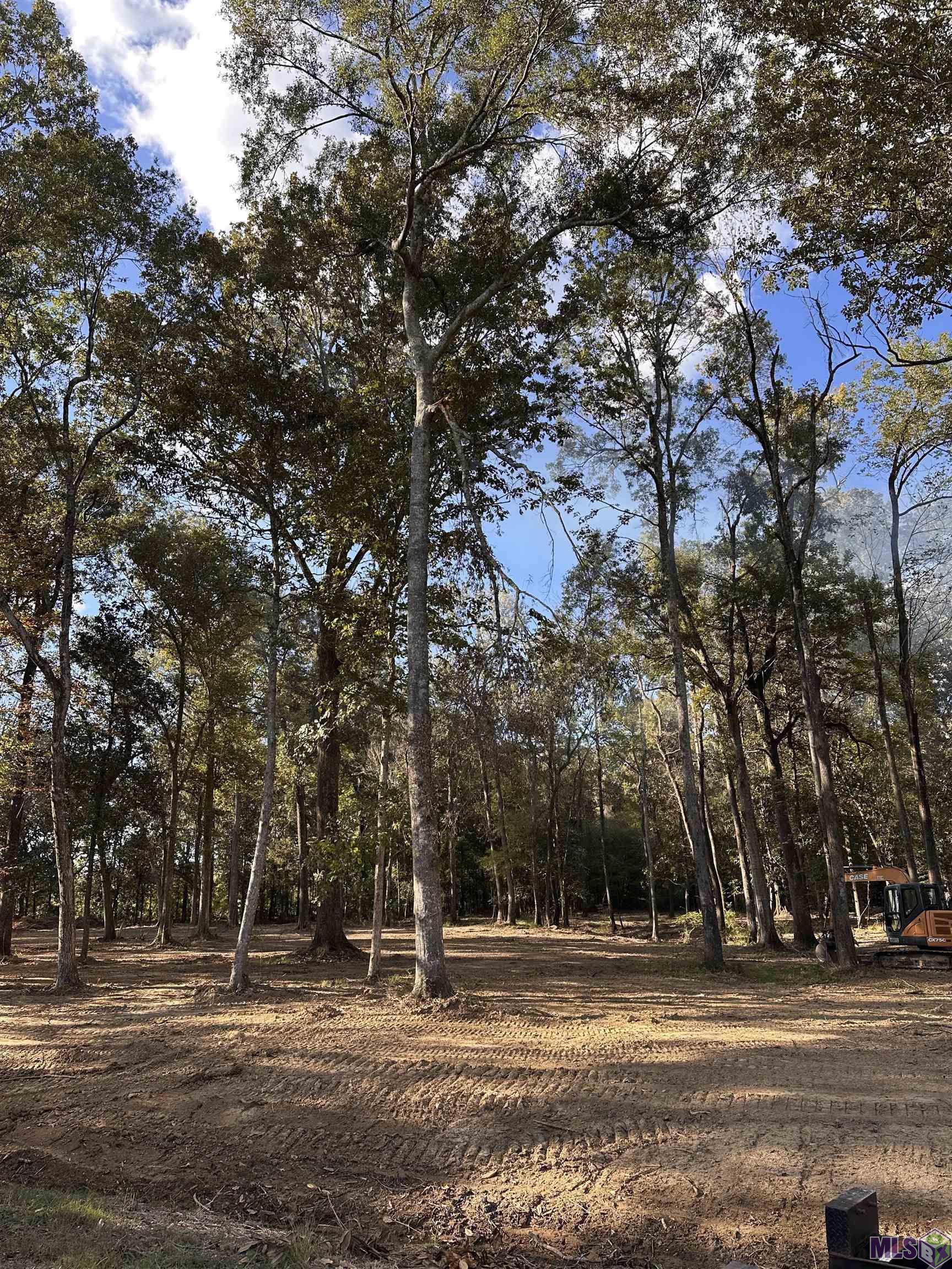 Tbd Lemon Road Slaughter, LA 70777 - Photo 3 of 6