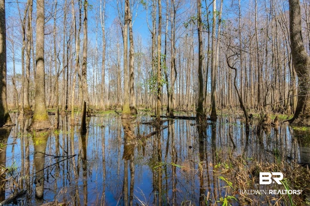 0 Private Road Millry, AL 36558 - Photo 26 of 50