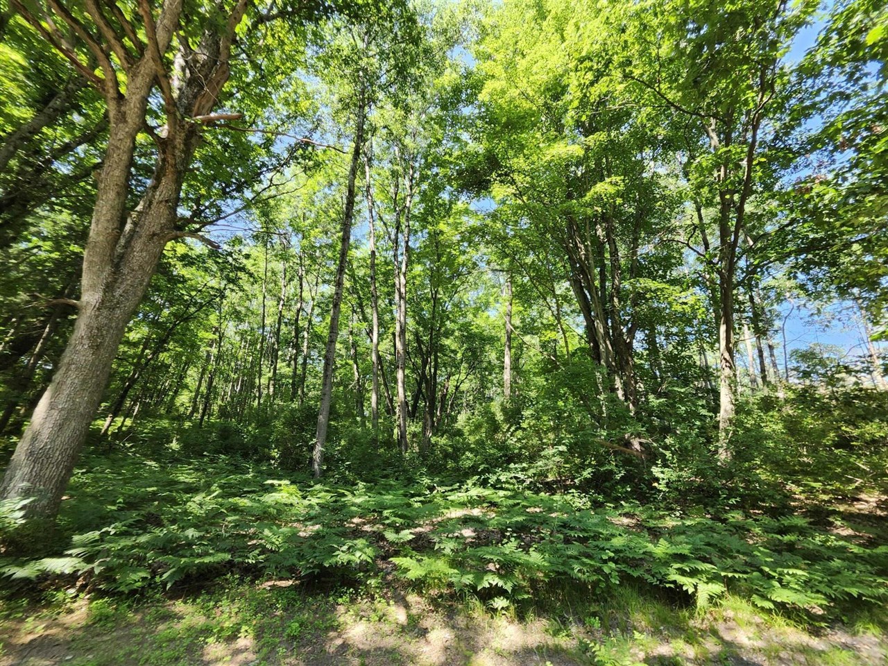 2867 East Hawley Road Custer, MI 49405 - Photo 37 of 57 Gallery Image 37