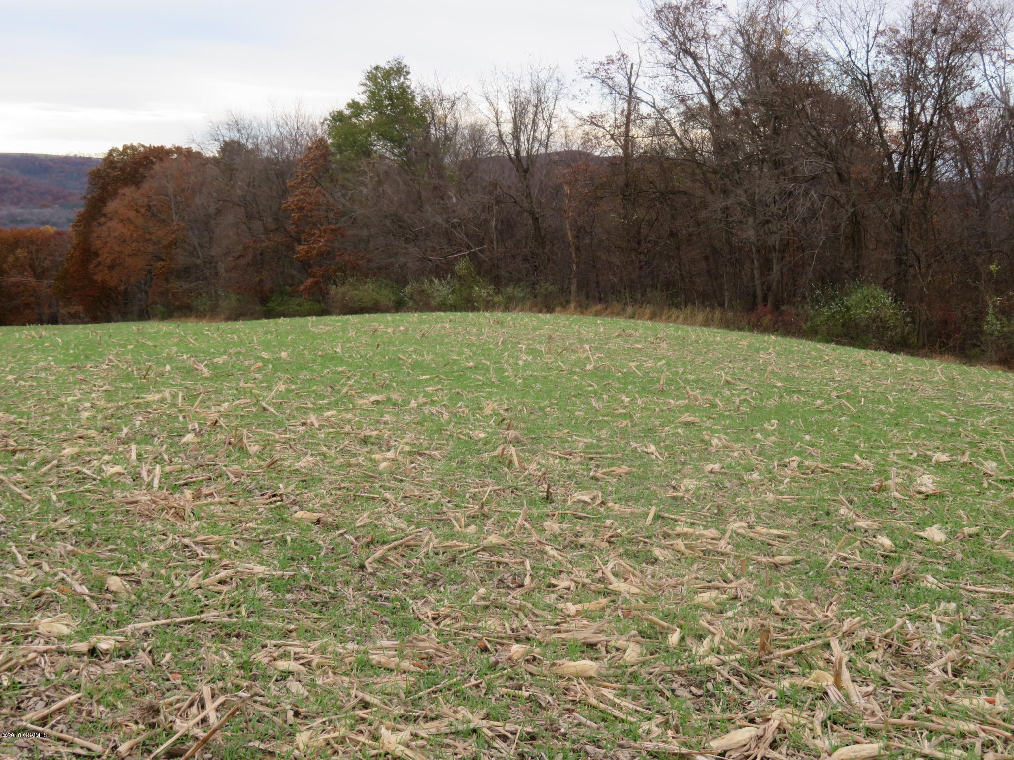 0 Furman Road Sunbury, PA 17801 - Photo 4 of 9 Gallery Image 4