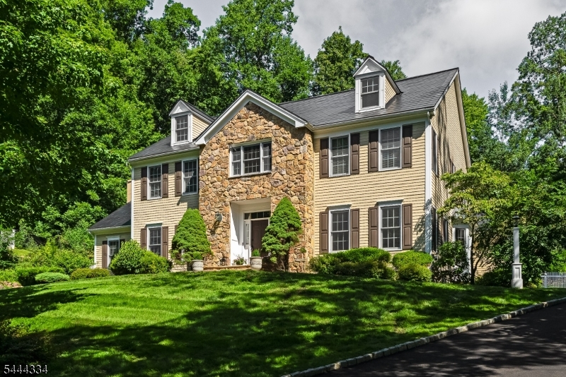 3 Connet Lane Mendham, NJ 07945 - Photo 1 of 30