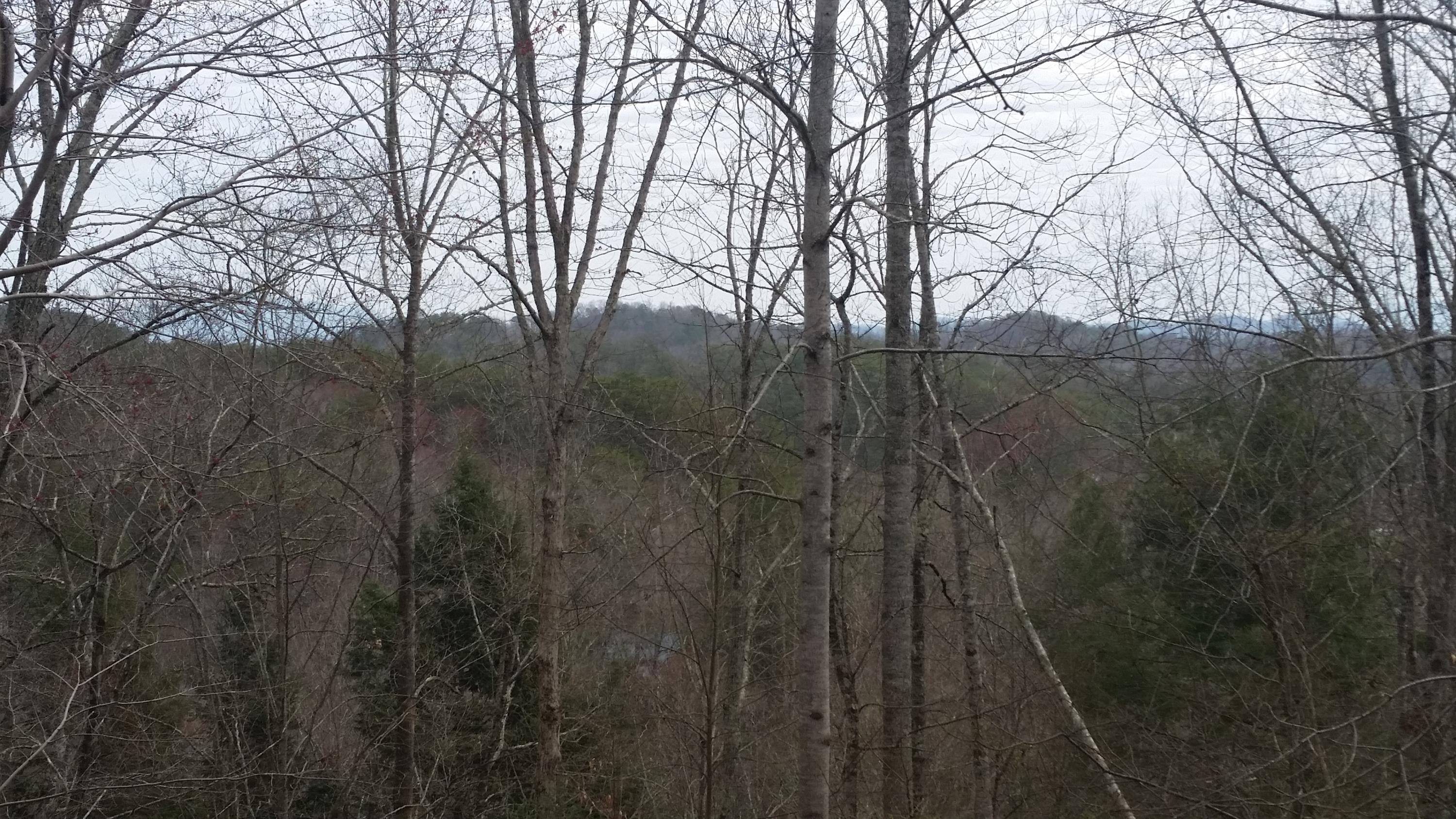 Lot 145 Ridgecrest Drive Sevierville, TN 37876 - Photo 1 of 6 20150322_123528.jpg