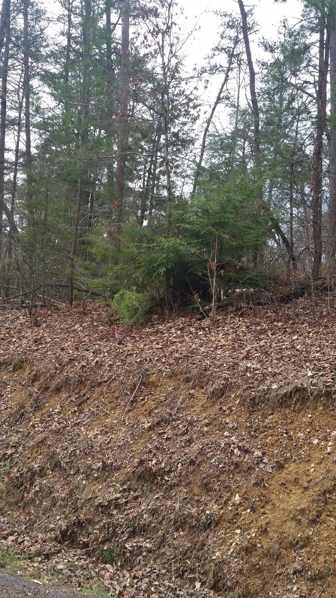 Lot 145 Ridgecrest Drive Sevierville, TN 37876 - Photo 6 of 6 20150322_123714.jpg
