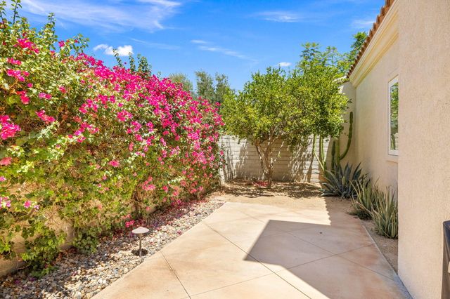 a view of a flower arrangement in backyard