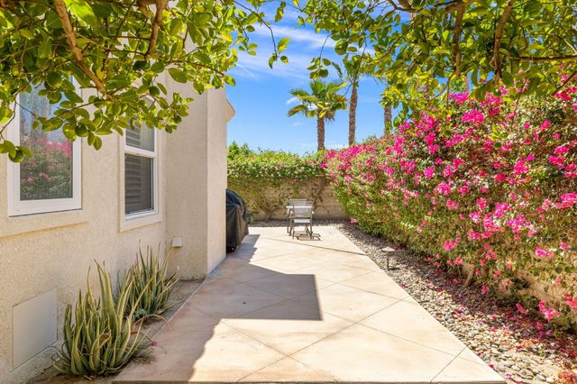 a view of a backyard with flowers