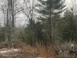 0 Sexton Loop Oakdale, TN 37829 - Photo 8 of 14 Gallery Image 8