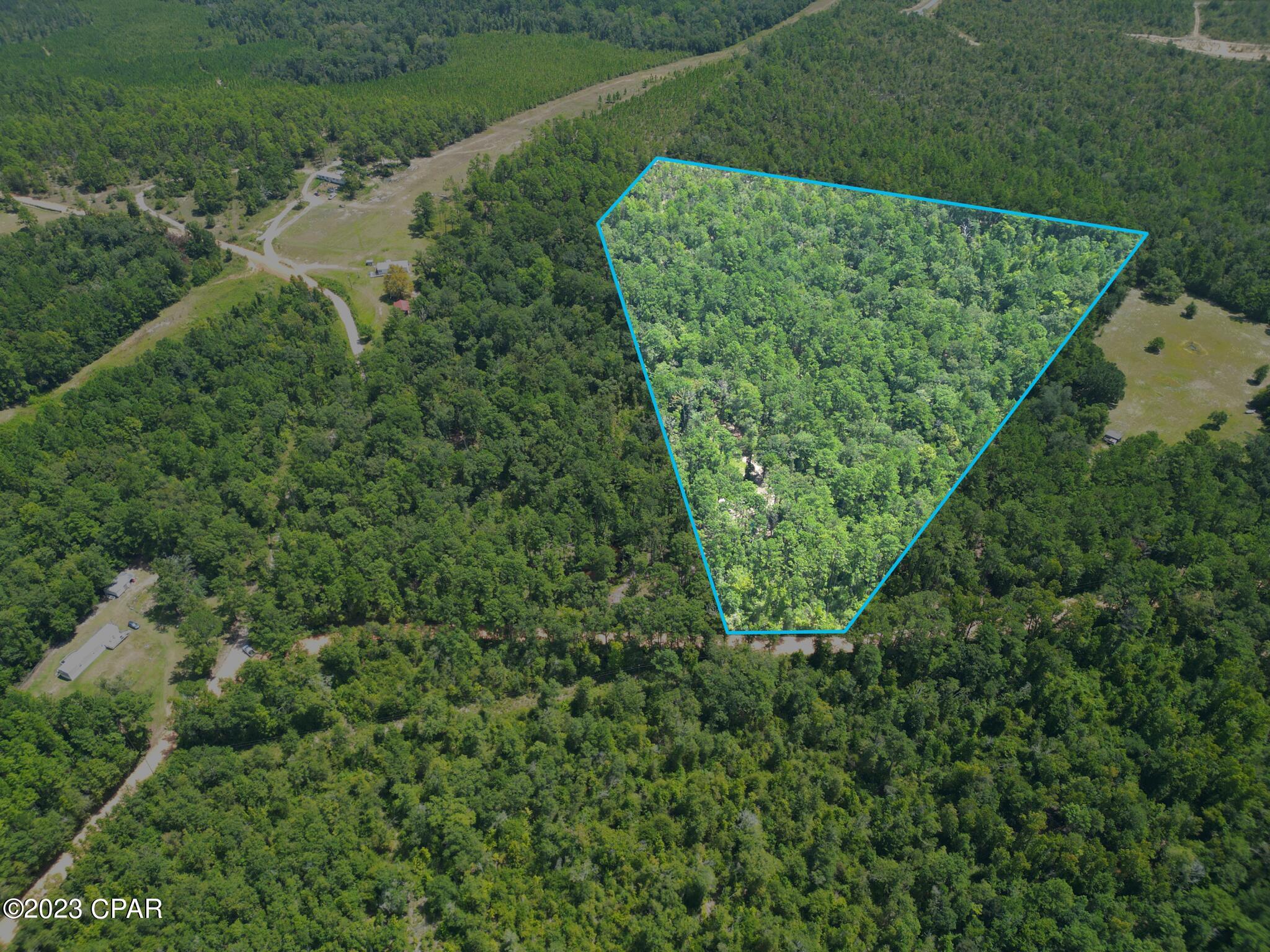 Xxx Ben Road Chipley, FL 32428 - Photo 1 of 12
