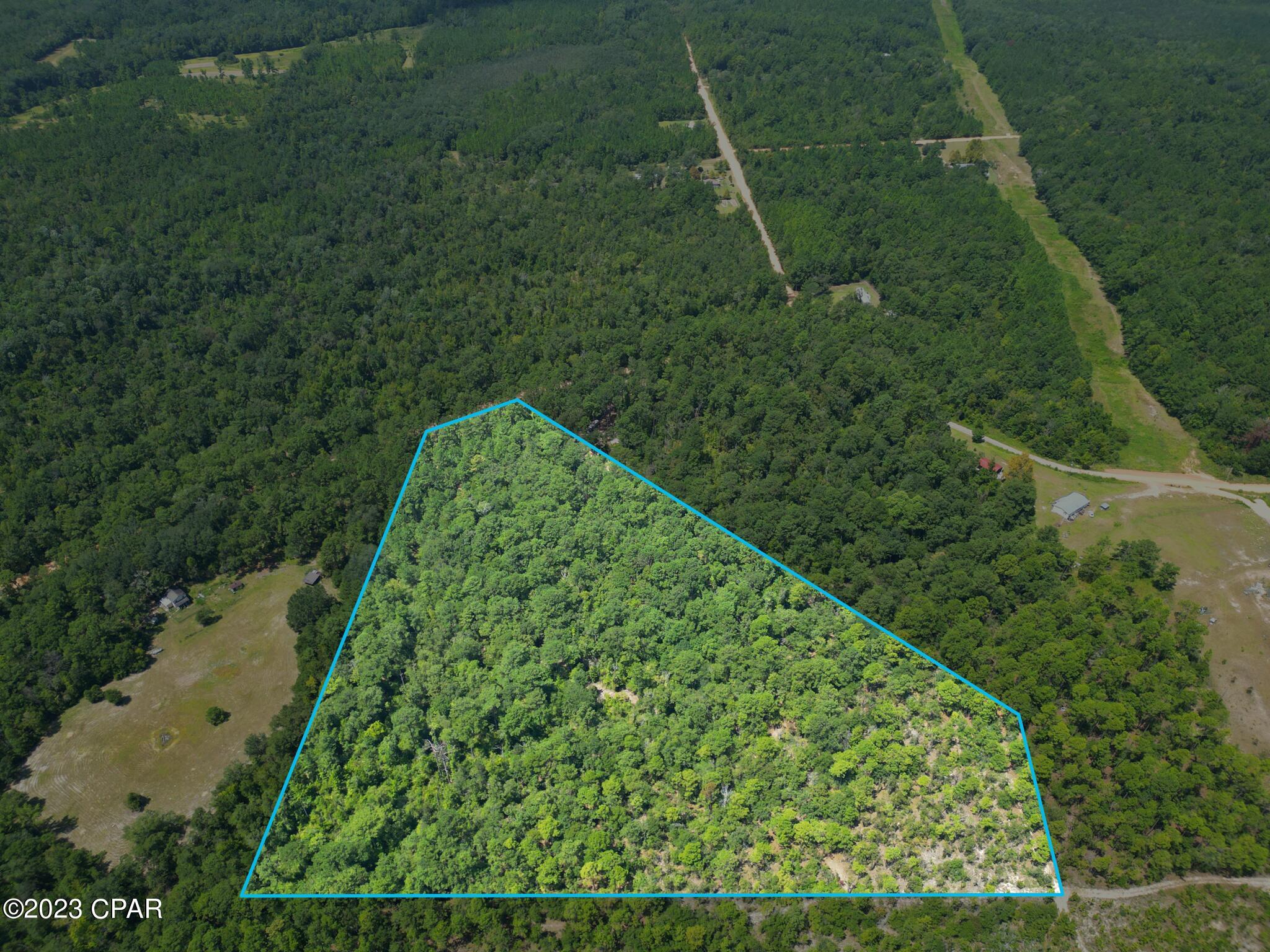 Xxx Ben Road Chipley, FL 32428 - Photo 11 of 12