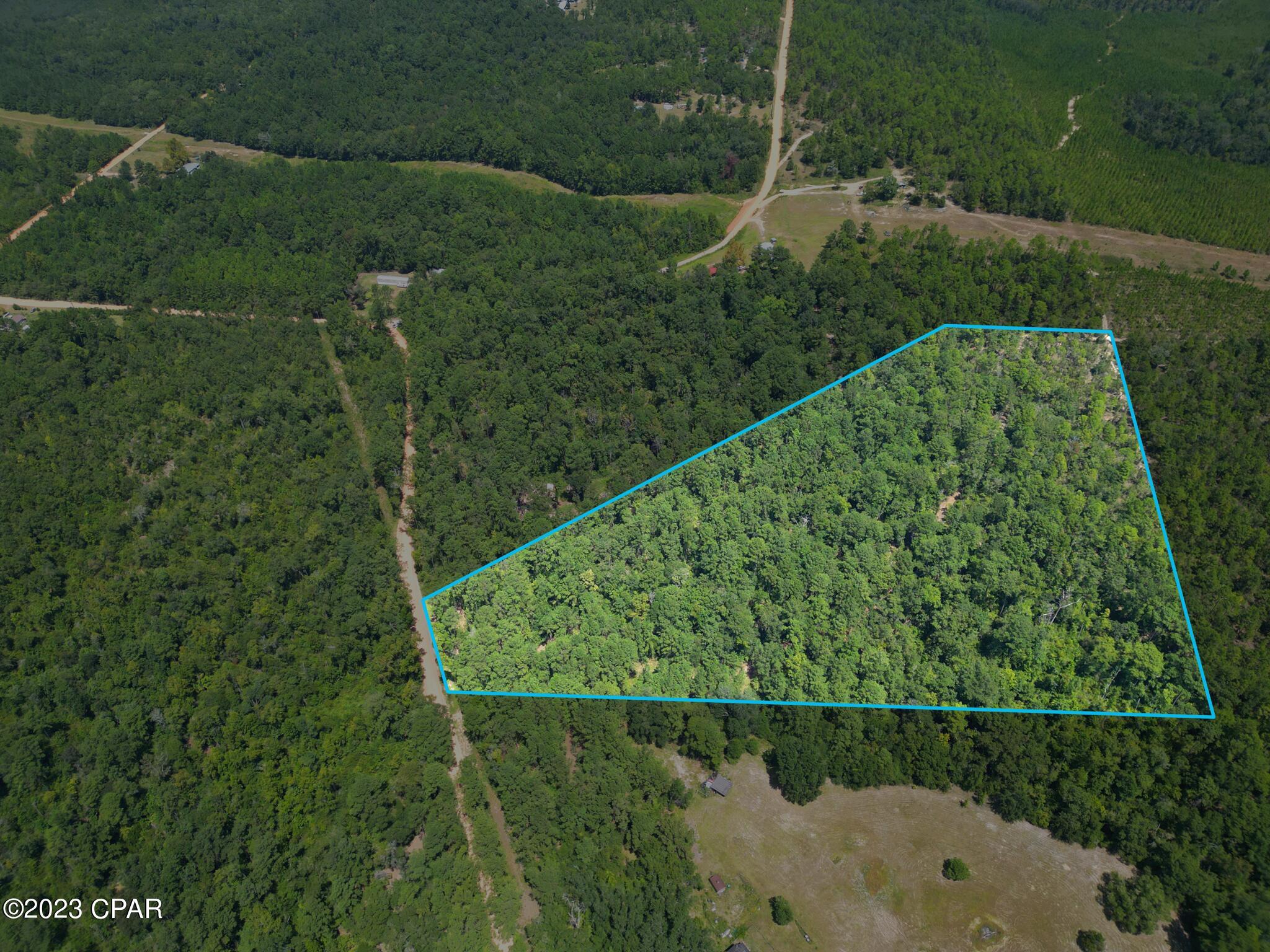Xxx Ben Road Chipley, FL 32428 - Photo 12 of 12