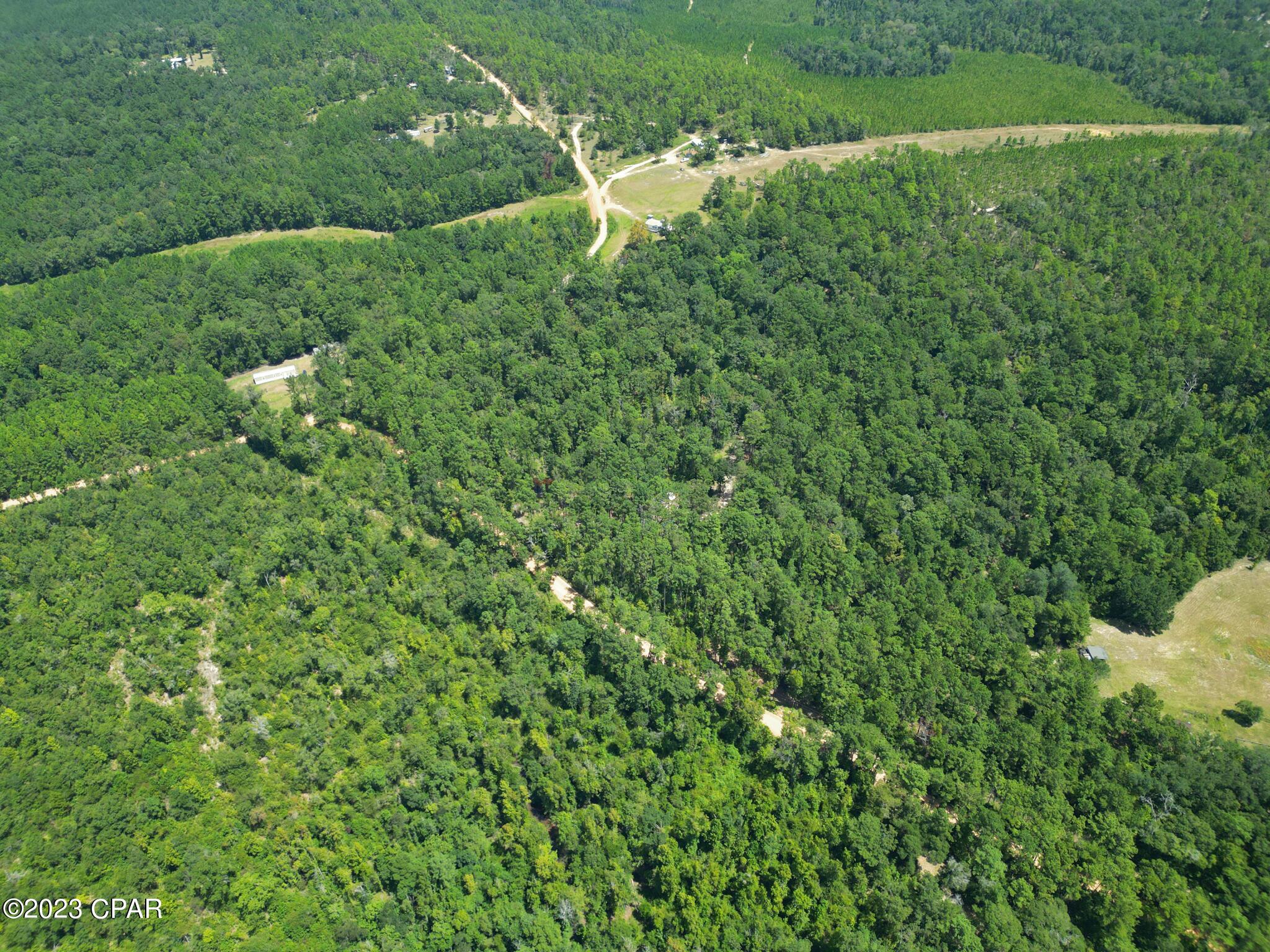 Xxx Ben Road Chipley, FL 32428 - Photo 3 of 12