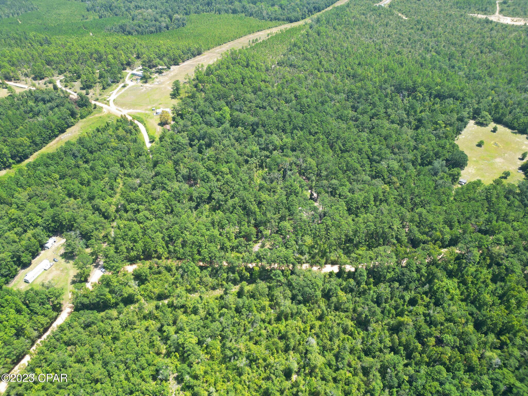 Xxx Ben Road Chipley, FL 32428 - Photo 4 of 12
