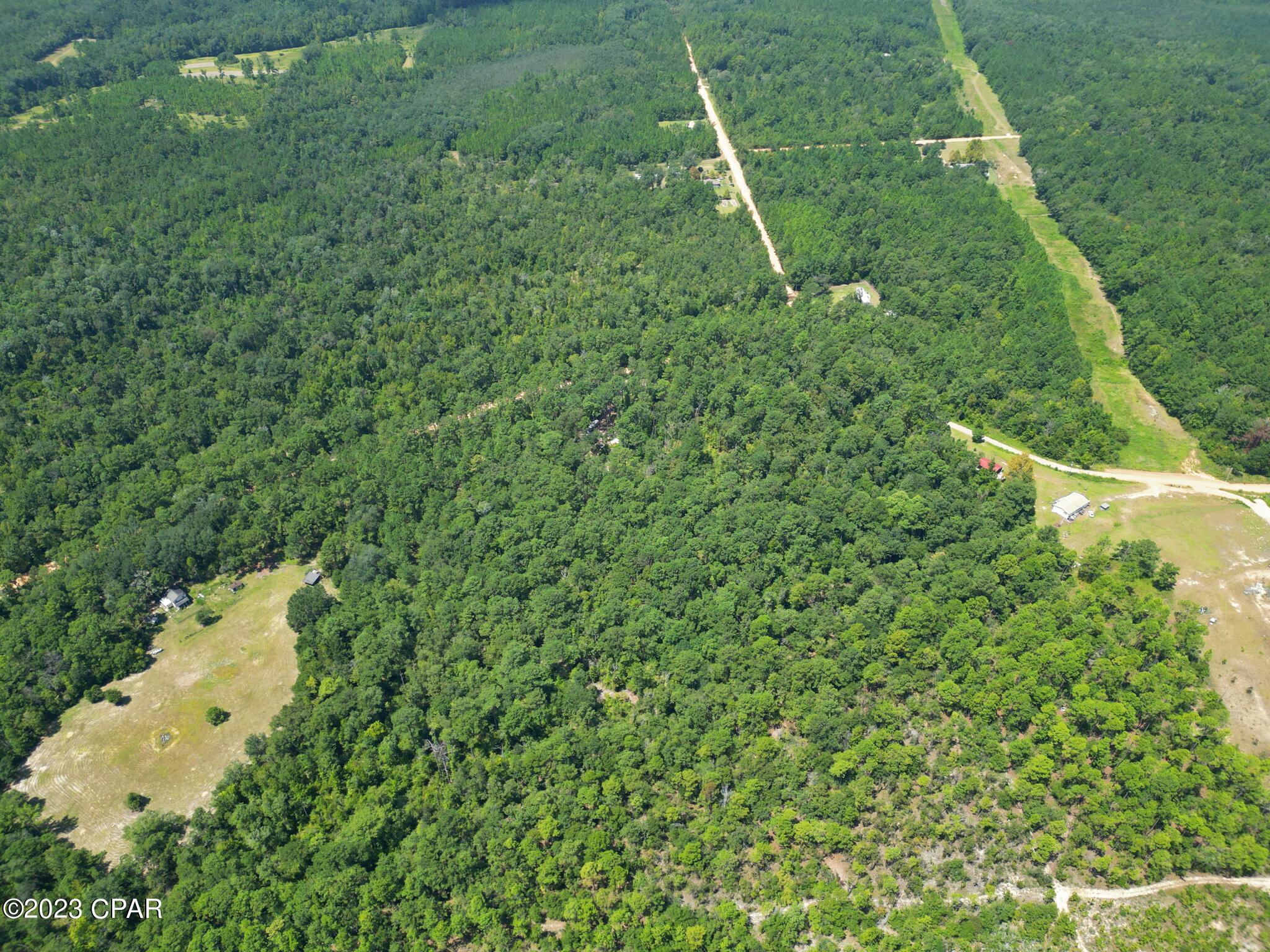 Xxx Ben Road Chipley, FL 32428 - Photo 6 of 12
