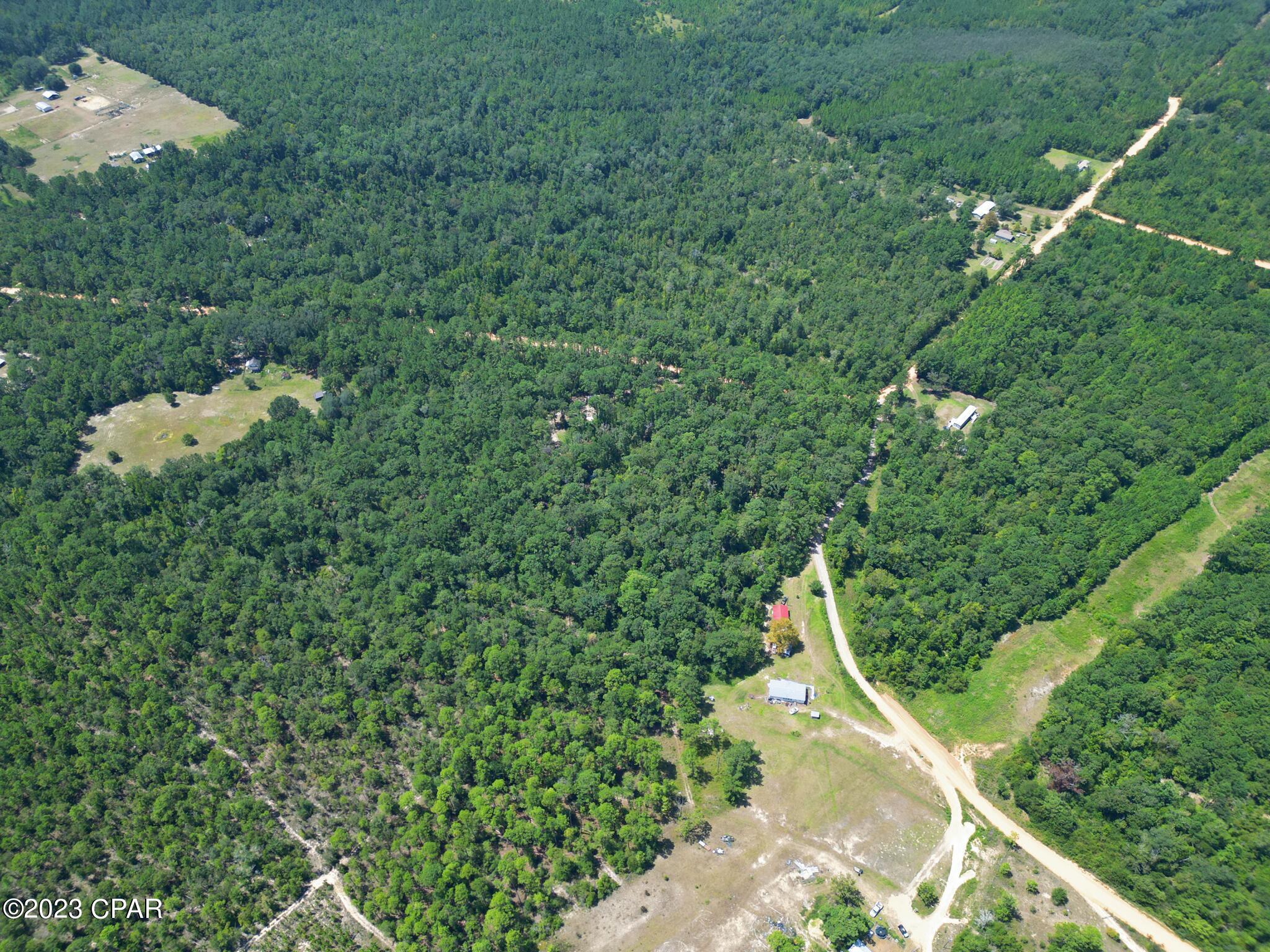 Xxx Ben Road Chipley, FL 32428 - Photo 7 of 12