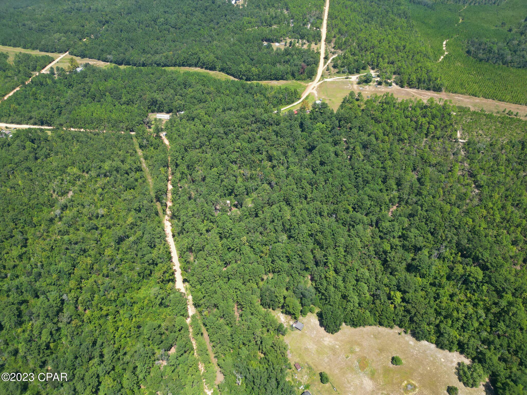 Xxx Ben Road Chipley, FL 32428 - Photo 8 of 12