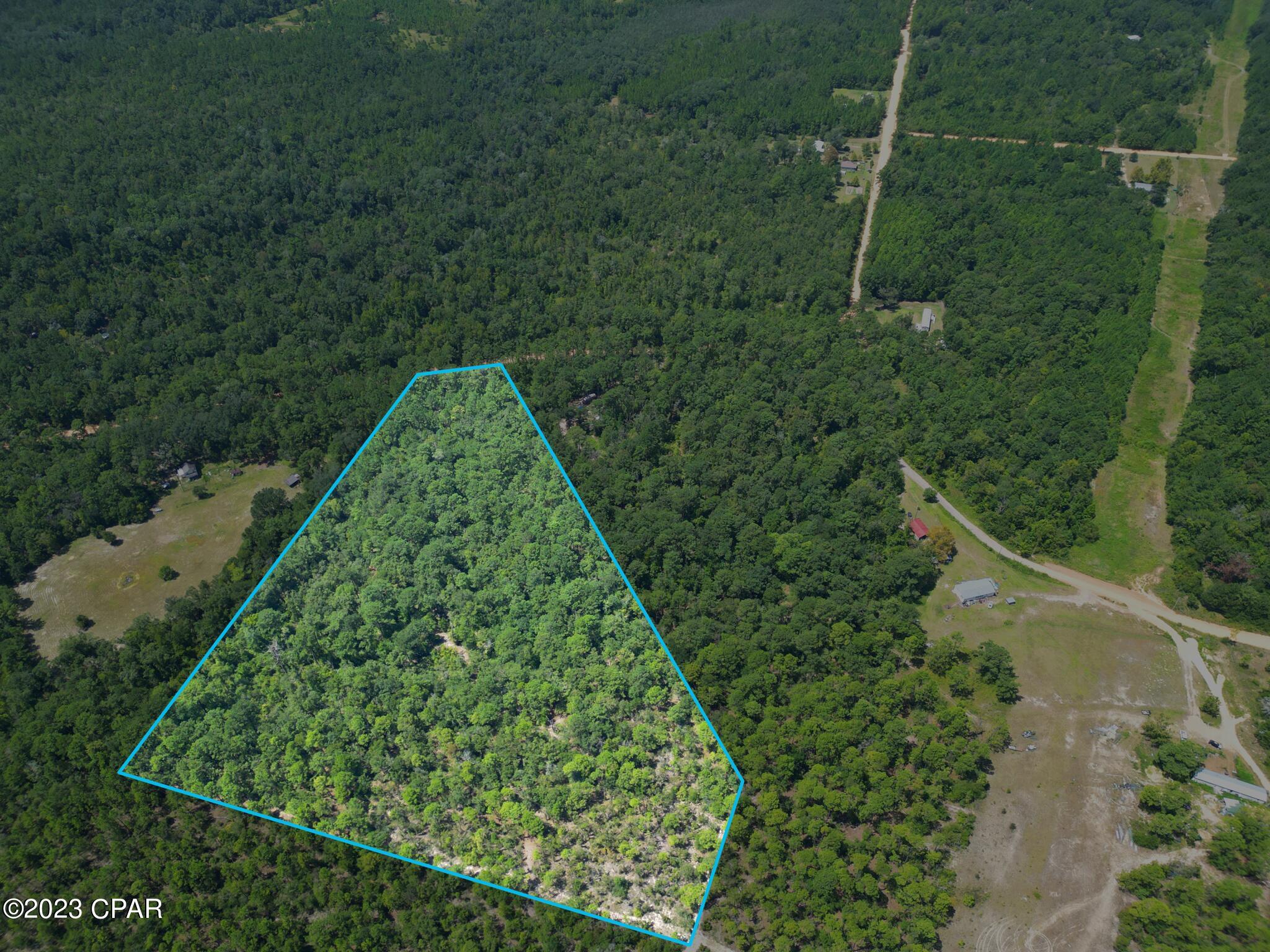 Xxx Ben Road Chipley, FL 32428 - Photo 10 of 12