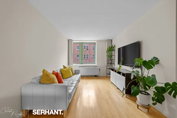 a living room with furniture and a potted plant