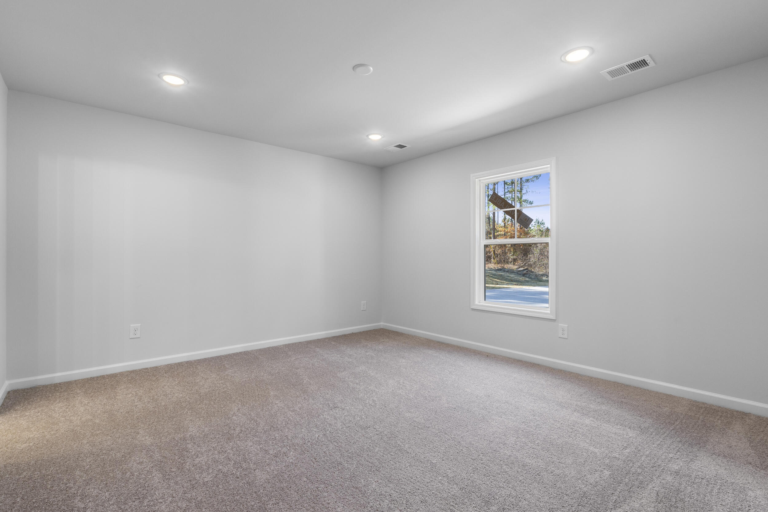 1119 Fox Young Road Wagener, SC 29164 - Photo 9 of 23