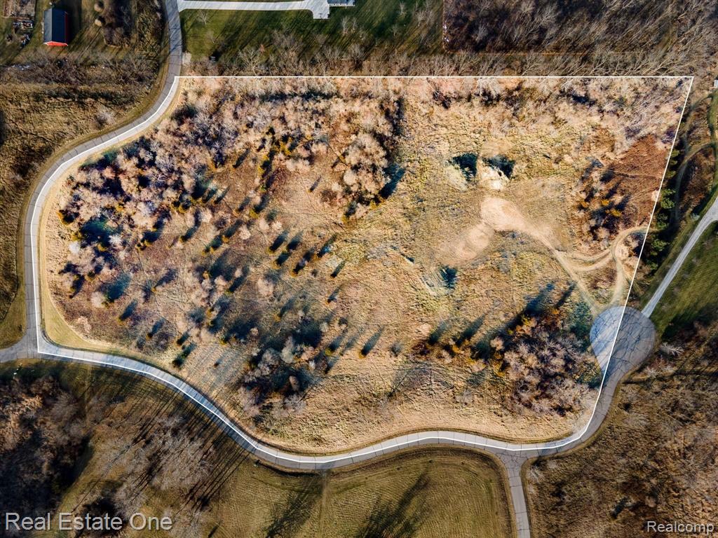 10345 Timberhill Road Manchester, MI 48158 - Photo 4 of 17