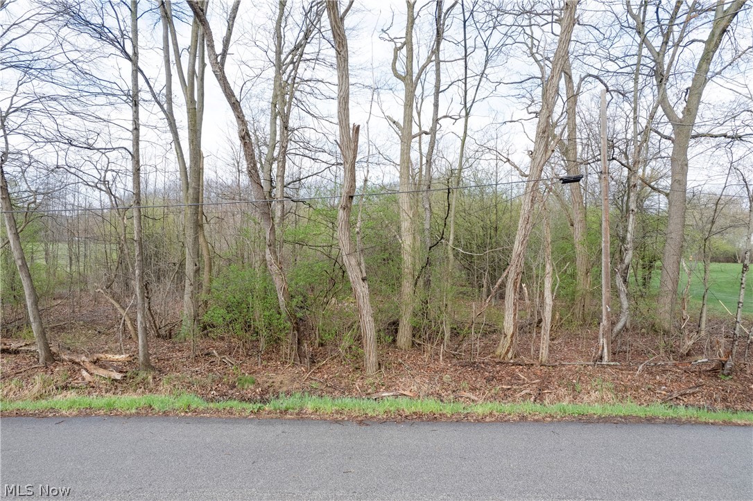 Dutt Road Barberton, OH 44203 - Photo 2 of 17 Gallery Image 2