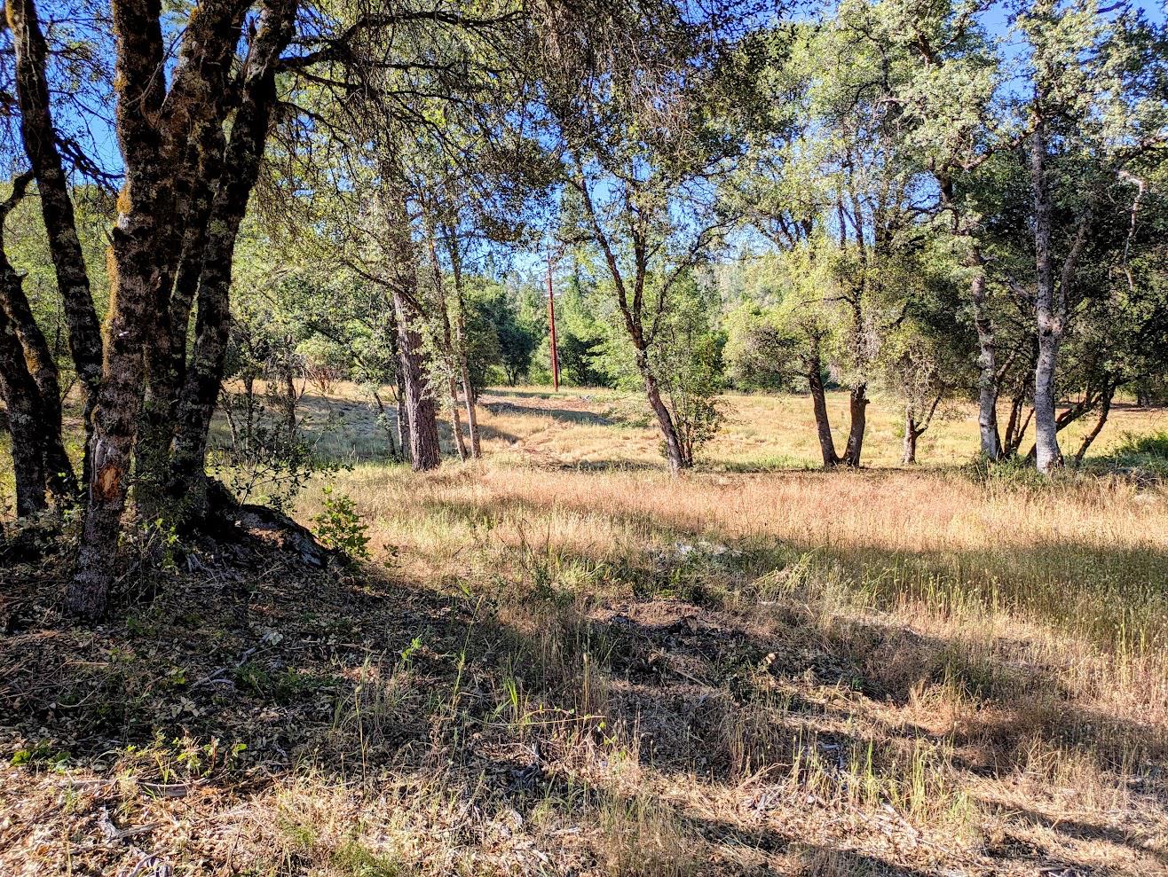 12998 Tyler Foote Road Nevada City, CA 95959 - Photo 27 of 33
