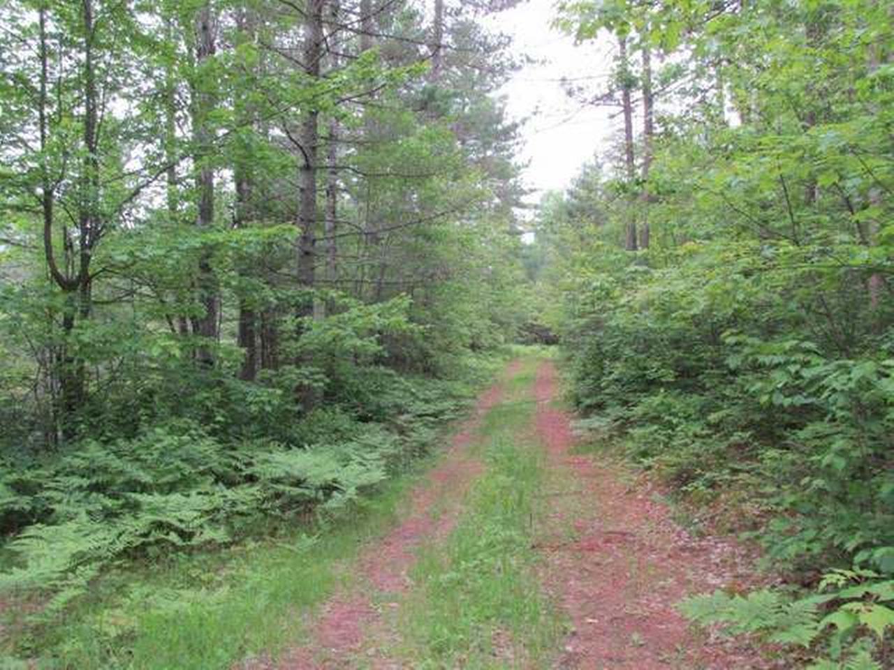 On Razorback Road Land O'Lakes, WI 54540 - Photo 7 of 10 Gallery Image 7