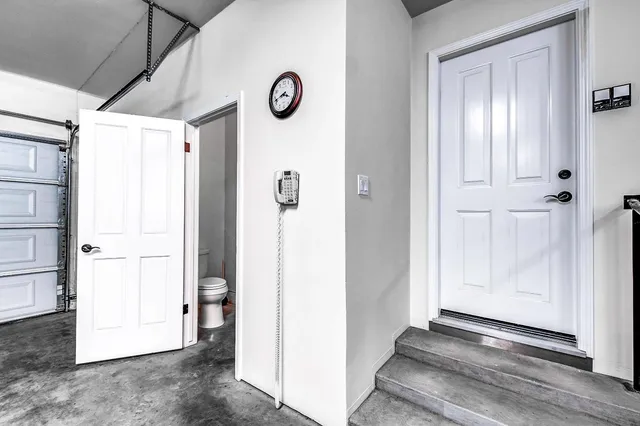 a view of a yard with plants and a tree