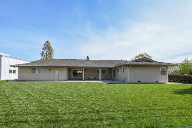 a big yard with lots of green space and plants