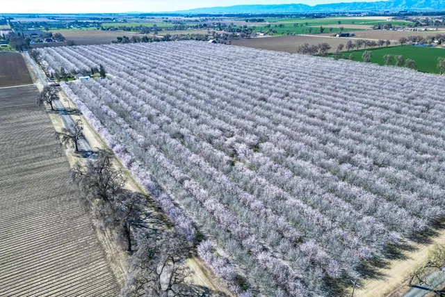 $2,500,000 | 16750 County Road 96, Woodland, CA 95695