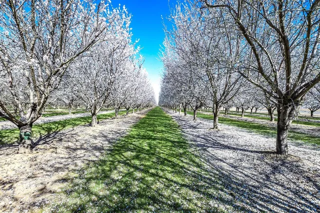 $2,500,000 | 16750 County Road 96, Woodland, CA 95695