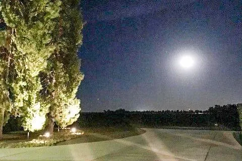 $2,500,000 | 16750 County Road 96, Woodland, CA 95695