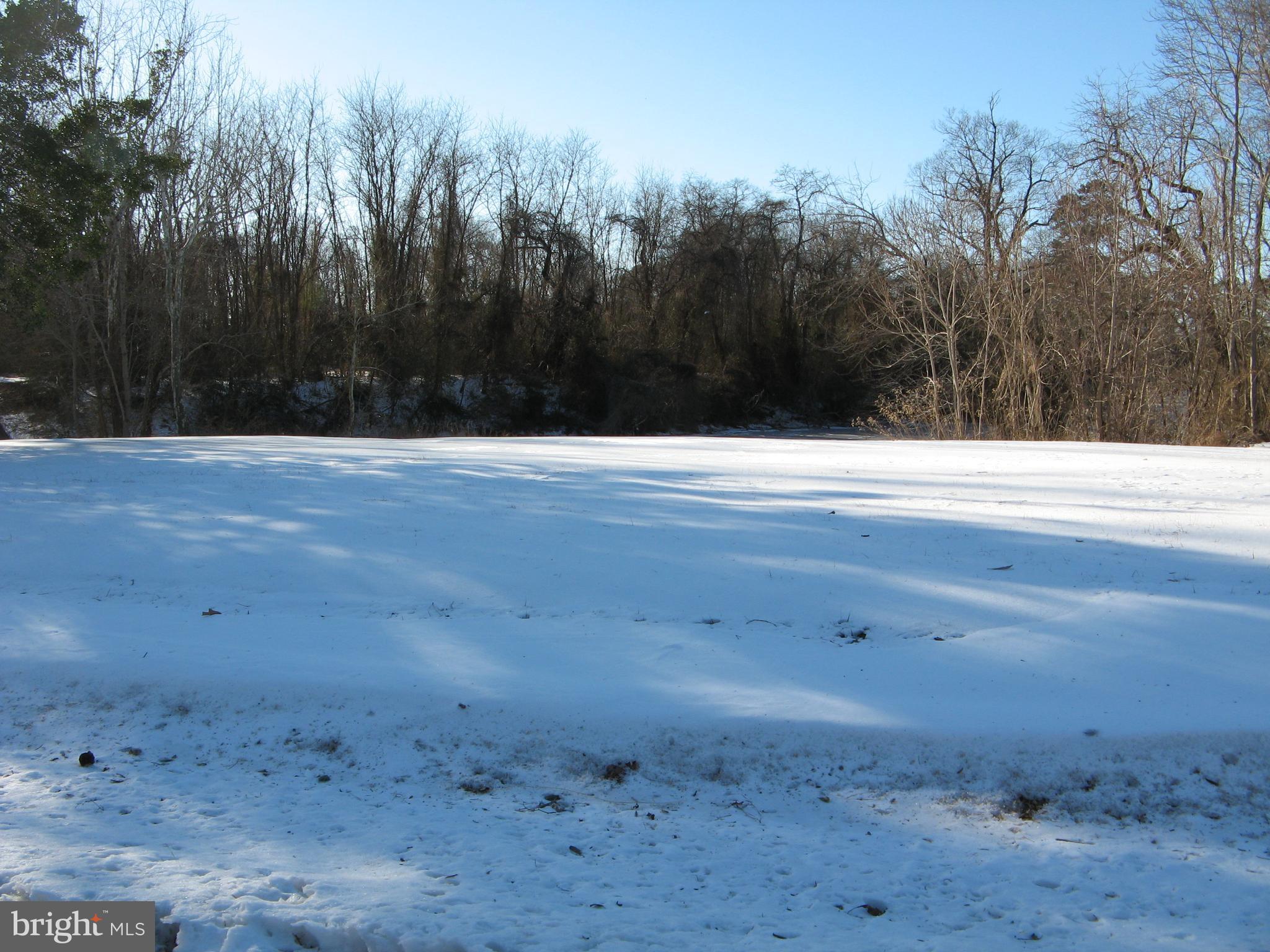 57 Oak Lane Colonial Beach, VA 22443 - Photo 42 of 47 a view of a dry yard