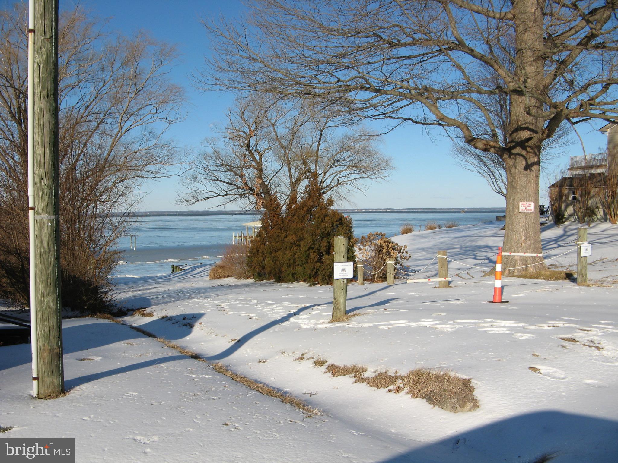 57 Oak Lane Colonial Beach, VA 22443 - Photo 46 of 47 a view of a yard of the house