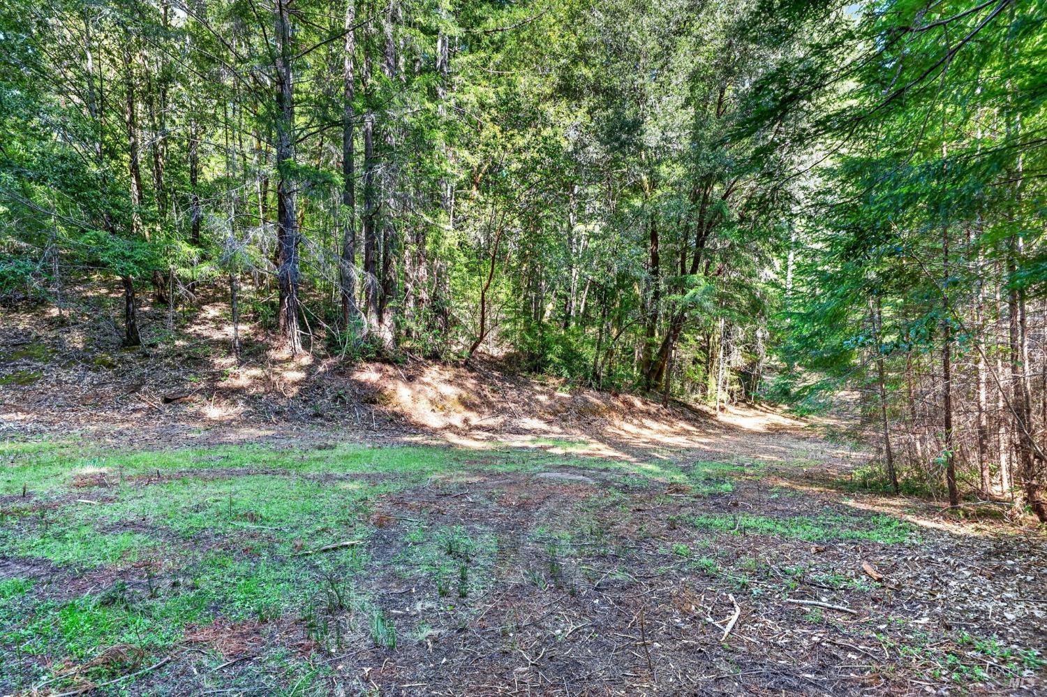 0 Maple Basin Road Philo, CA 95466 - Photo 11 of 16 a view of a yard with a trees