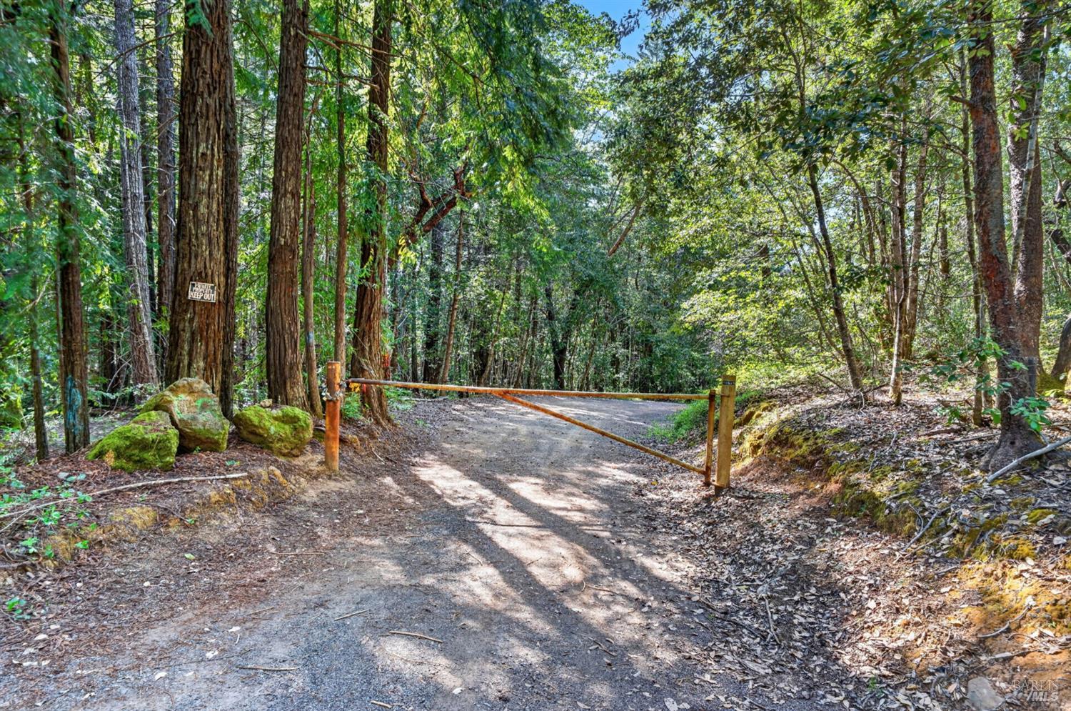 0 Maple Basin Road Philo, CA 95466 - Photo 14 of 16 a view of a backyard