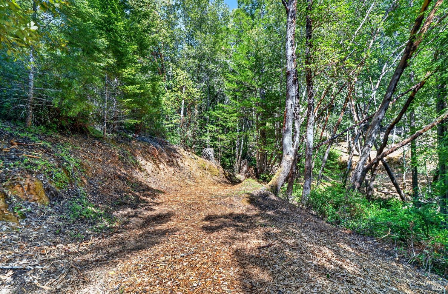 0 Maple Basin Road Philo, CA 95466 - Photo 4 of 16 a view of a dirt road with trees in the background
